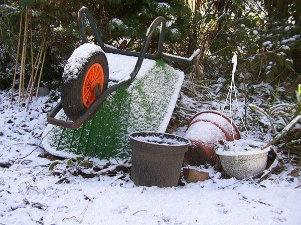 ensimmäisen marraskuun lunta