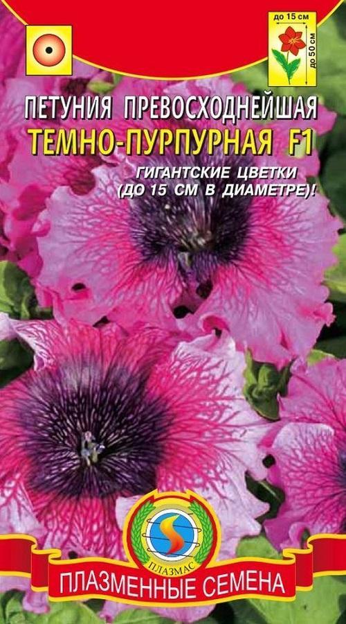 tumma violetti
