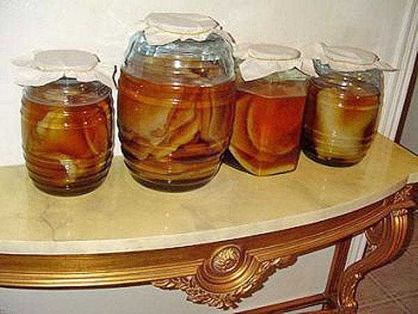 kombucha kotona