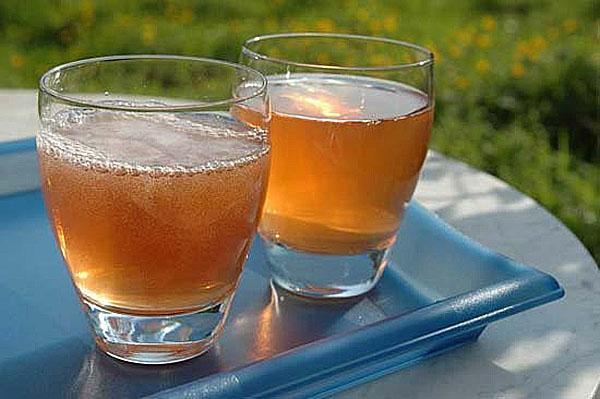 terveellinen kombucha
