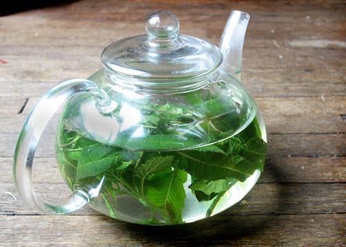 verbena-tee