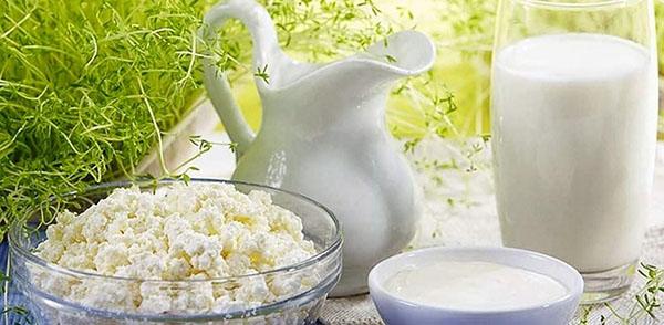 fermentoidut maitotuotteet maitosienestä