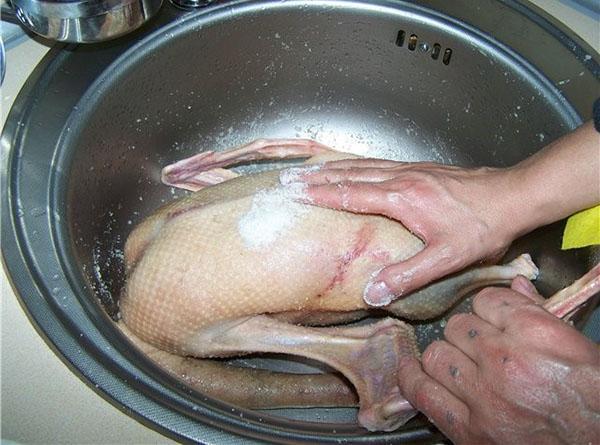 pese hanhen ruho huolellisesti