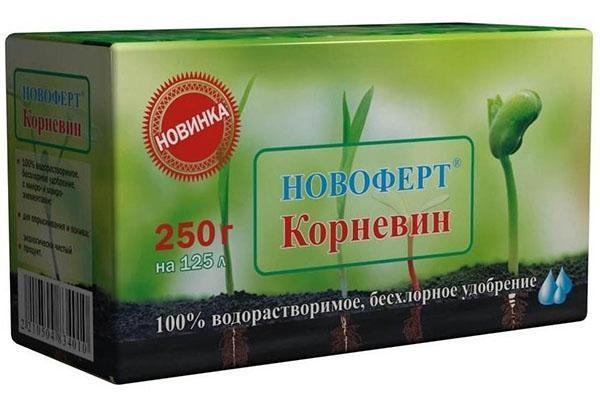 fytostimulanttijuuri