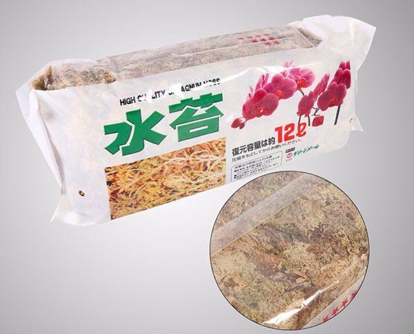 sphagnum sammal Kiinasta