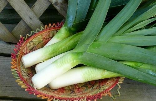 purjo