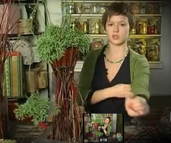 ruukut oksat
