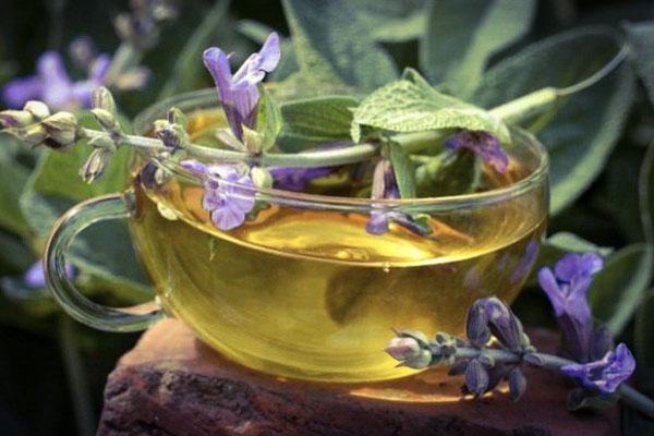 Clary salvia liemi