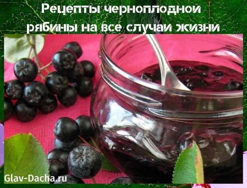 aronia-reseptit