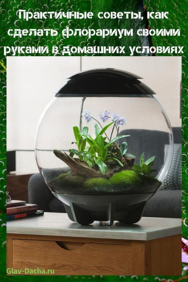 tee-se-itse-florarium
