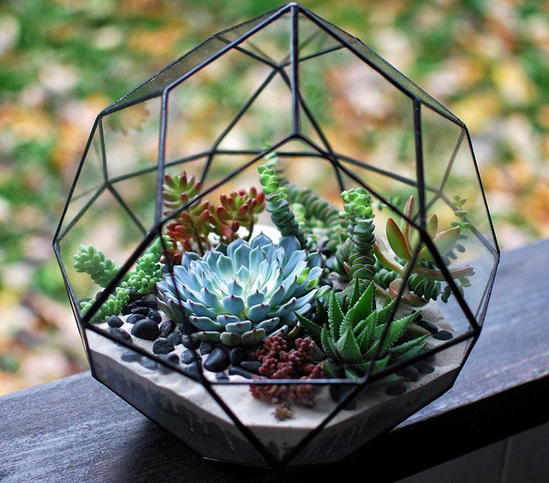 alkuperäinen florarium