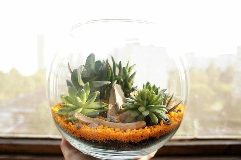 pyöreä florarium