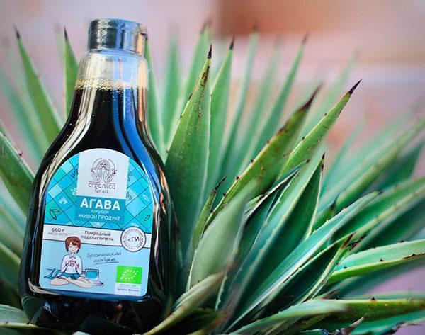 agave-lääke