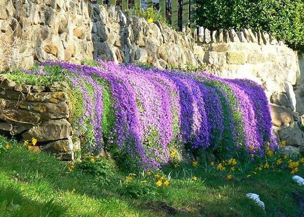 maanpäällinen