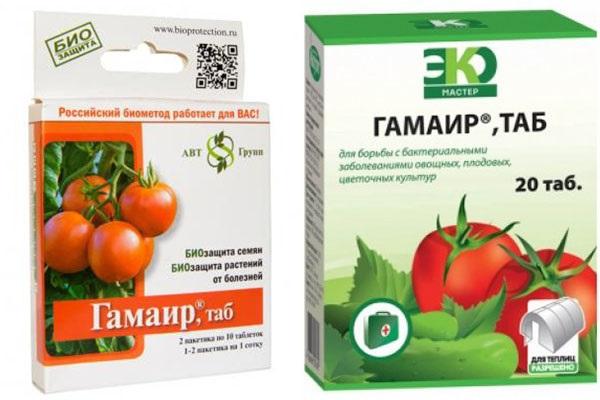 gamair tomaattitauteja vastaan