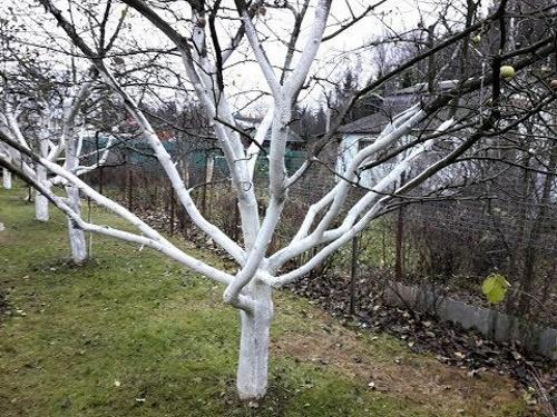 syksyn kalkinta