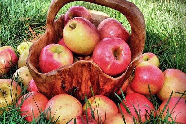 omenat marmeladille
