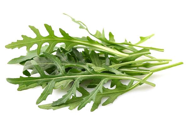 vähäkalorinen rucola-salaatti