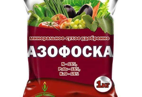 lannoite atsofosk