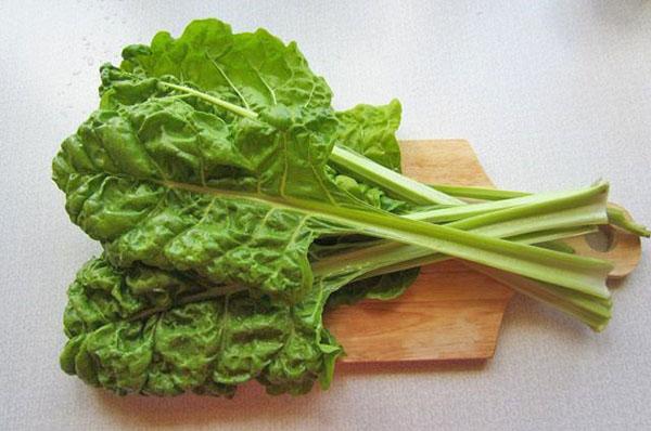 paska-chard