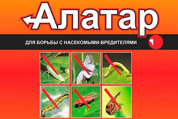 alatar tuholaistorjunnassa
