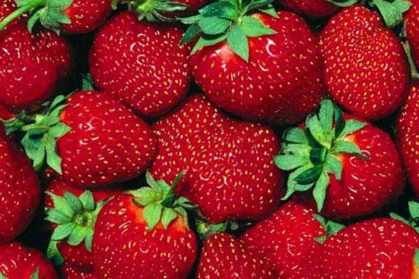 mansikat sisältävät paljon C-vitamiinia