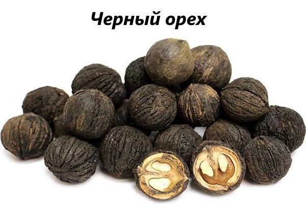 musta saksanpähkinä kansanlääketieteessä