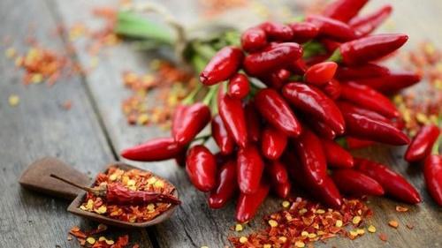 chilipippurien ravintoarvo