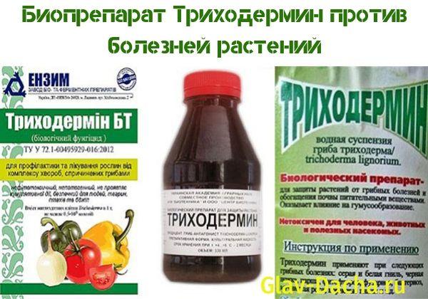 biologinen tuote Trikodermiini
