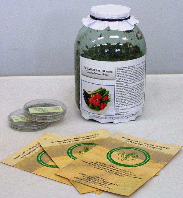 trikodermiini kasveille