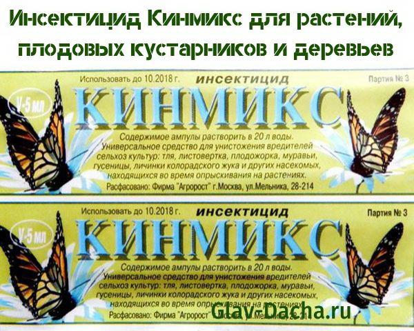 hyönteismyrkky Kinmix