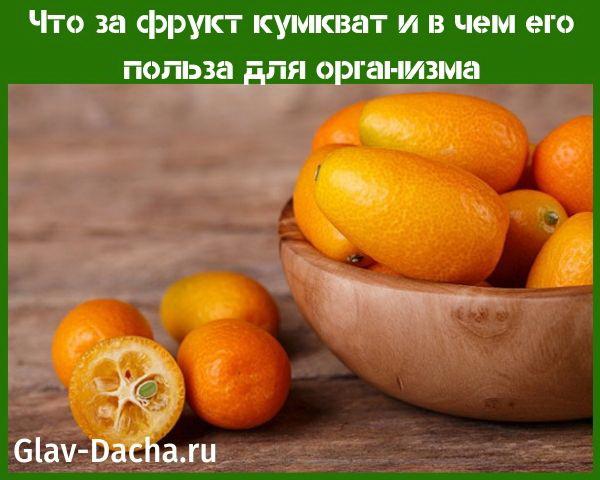 kumkvatti