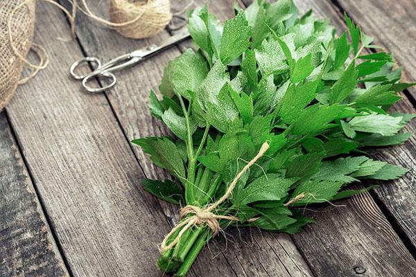 korjuu lovage