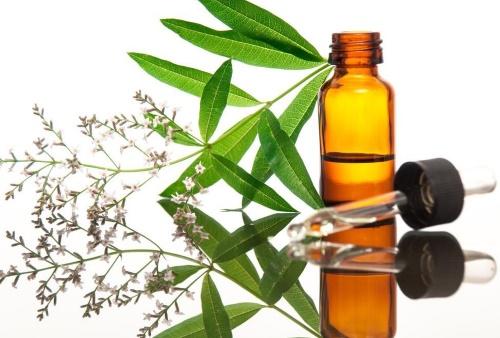 sitruuna verbena voille