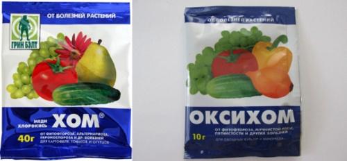 mikä on ero oksykooman ja homan välillä