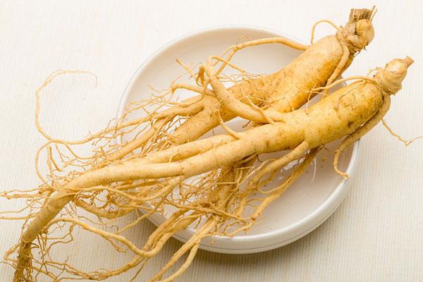 lääkkeiden ginseng-juuret