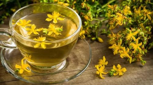 Hypericum-infuusio