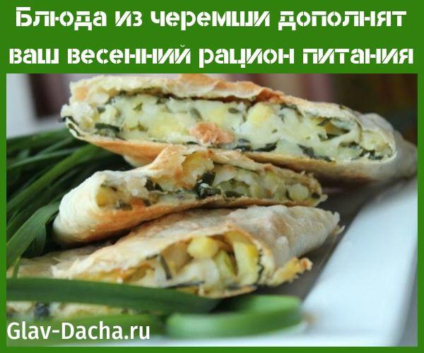 villi valkosipulin ruokia
