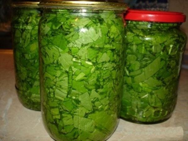 marinoitua luonnonvalkosipulia nopea resepti