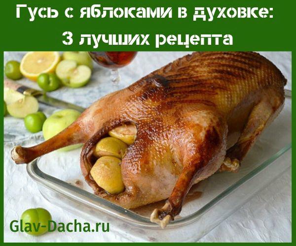 hanhi omenoiden kanssa uunissa
