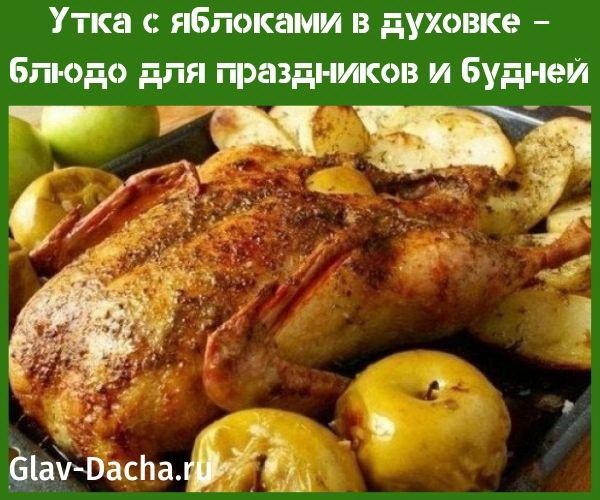 ankka omenoilla uunissa