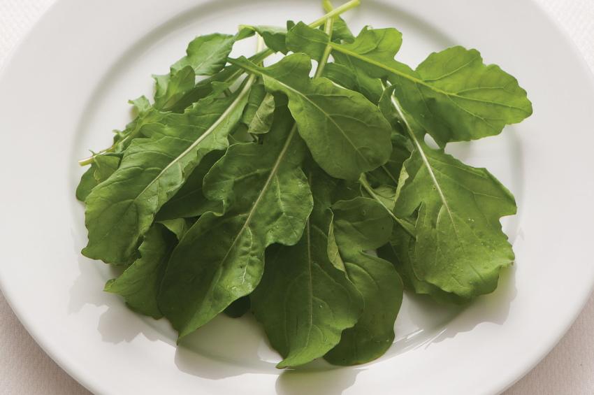 rucola