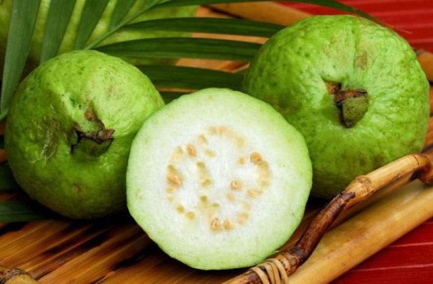 guava-hedelmä
