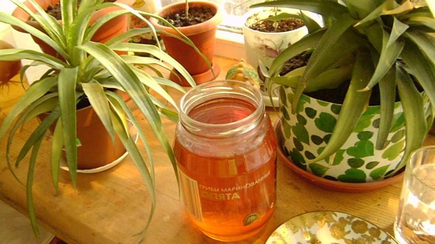 kuoren infuusio