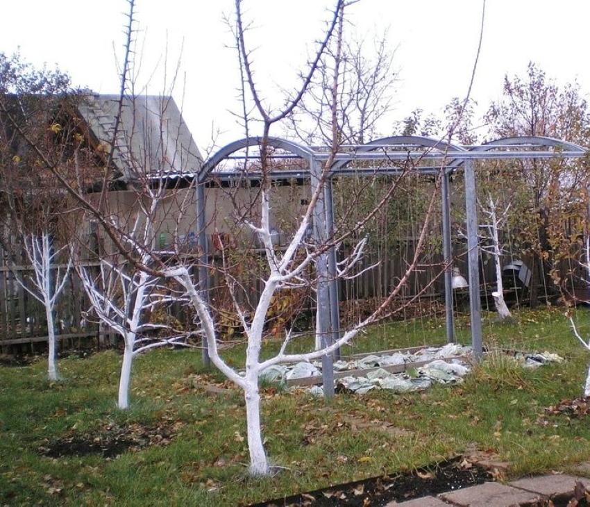 miksi tarvitsemme syksyn kalkinnan
