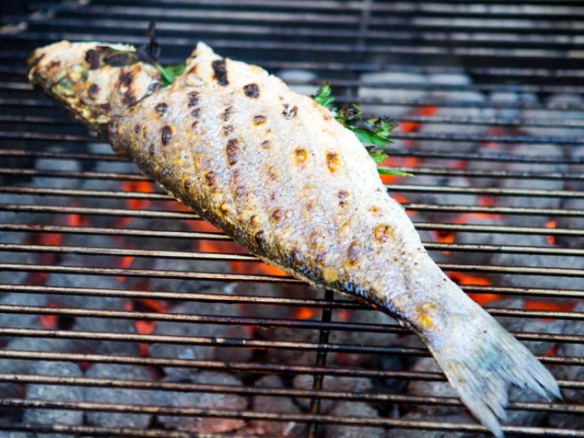 kuinka paljon grillata kalaa
