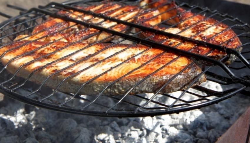 grillattua kalaa