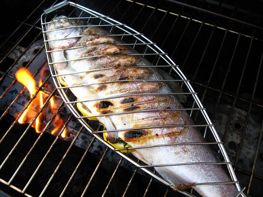 grillattua kalaa