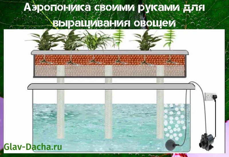 DIY-aeroponiikka