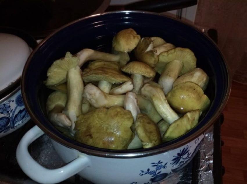 kuinka valmistaa viherpeippoja